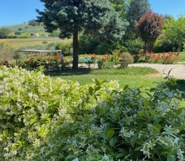 Granarola House | Villa Rina