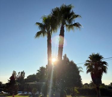 Pisticci House | Villa Sofia Garden & Relax