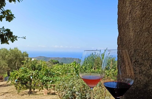 Santa Maria di Castellabate Apartment | While Attic in a medioeval town above the coast with breath taking view