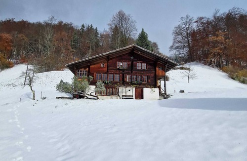 Schwanden bei Brienz Apartment | Wohnung Lake View