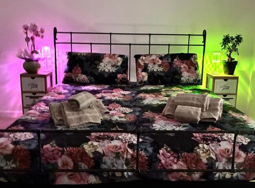 33 Joy Dreams