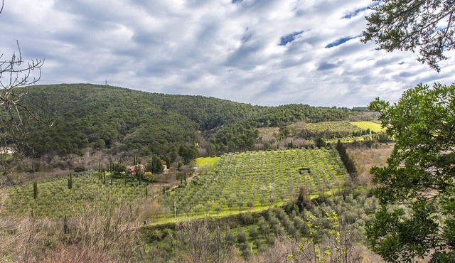 A19 - Massignano, bright outbuilding surrounded by greenery