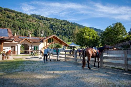 Agritur Bontempelli