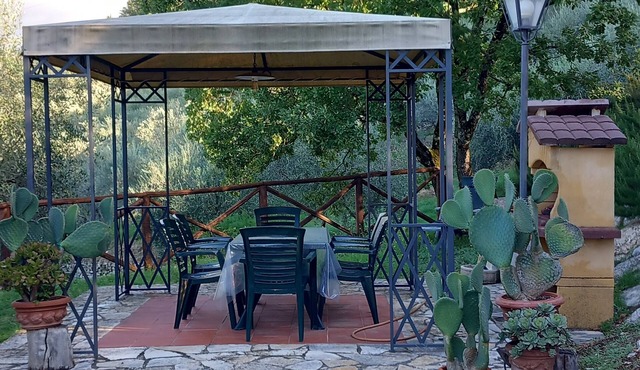 An oasis among the olive trees with a breathtaking view of Florence