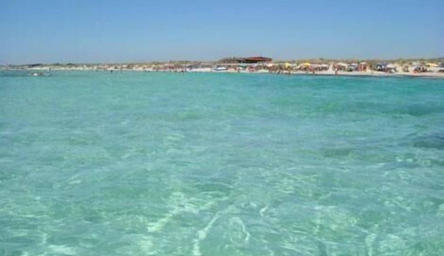 Apartment in Torre Mozza with Furnished Terrace