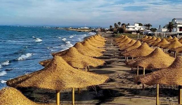 Beach Club Ippocampo