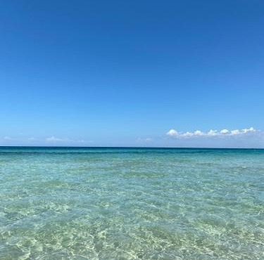 Bilocale sul mare