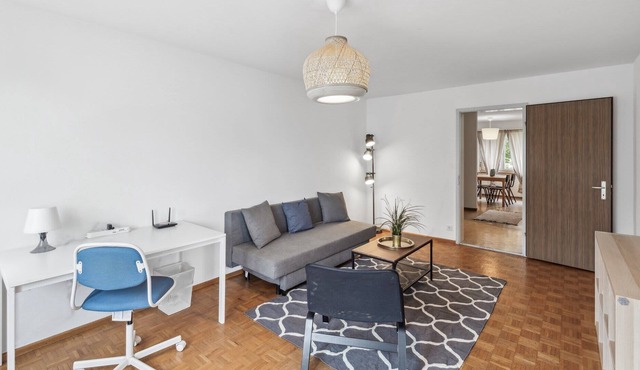 Calm & Cozy Apartment Outside of Zurich