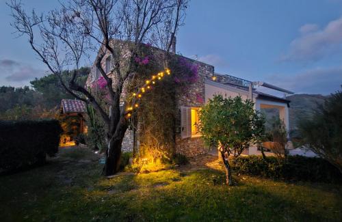 Casa del Dragone
