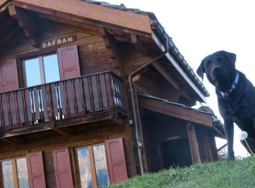 Chalet Safran