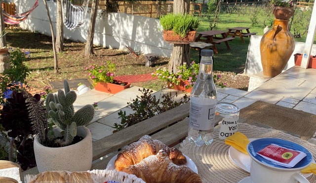 Chill Garden Experience