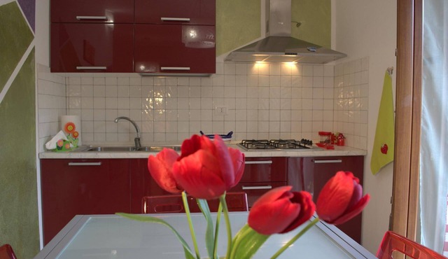 Comfortable holiday apartment near the beach