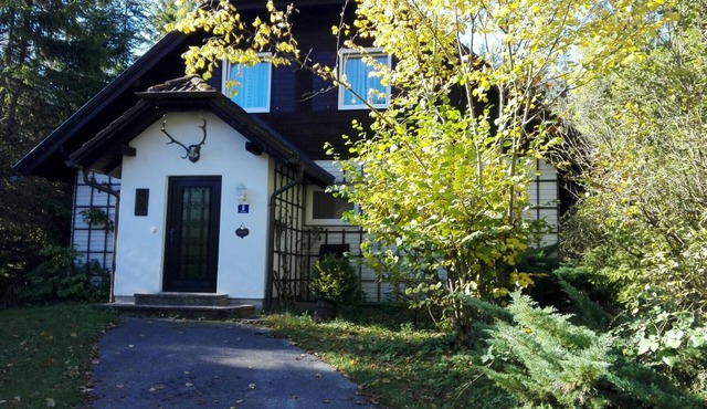 Cozy and centrally located vacation home 500 meters from the cable car/ski slope in Mitterstoder