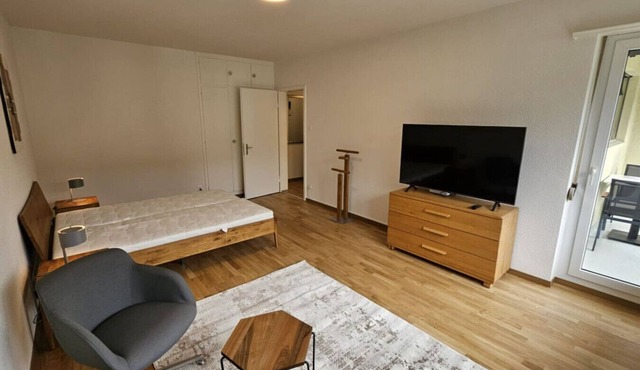 Cozy studio near train station (Wille 7)
