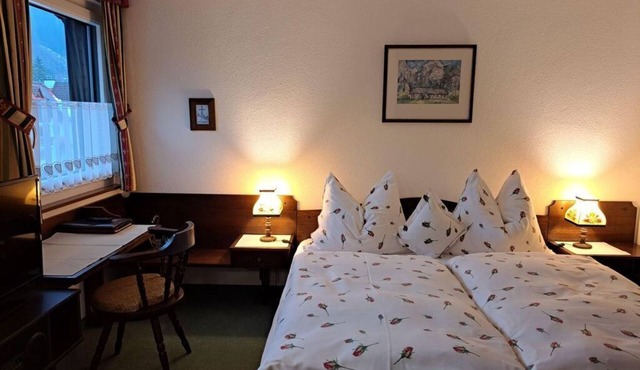 Double room "Steyrblick" with shower, WC - Hotel garni Landhaus Bürtlmair * in Mitterstoder