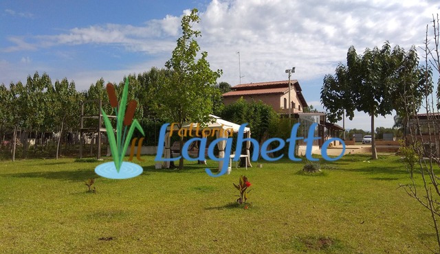 Fattoria Il Laghetto ST. 1