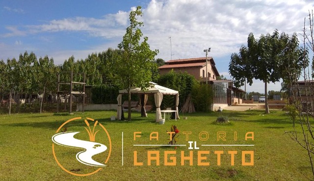 Fattoria Il Laghetto