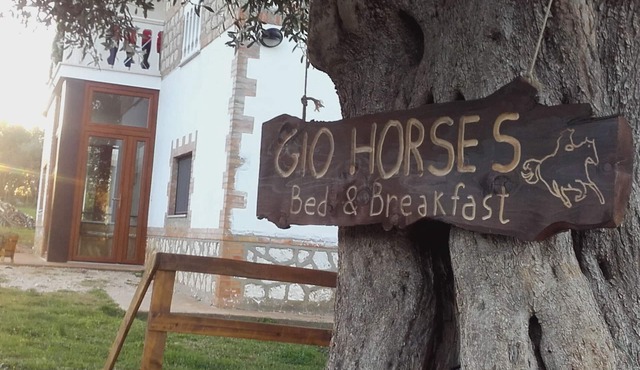 Gio Horses B&B located in the Gargano National Park between sea, lakes and woods.