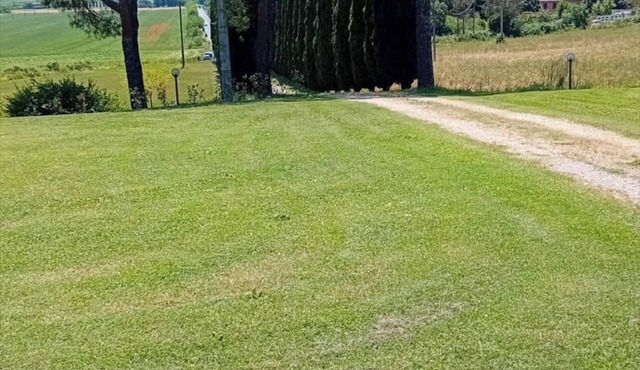 Holday at Poggettone
