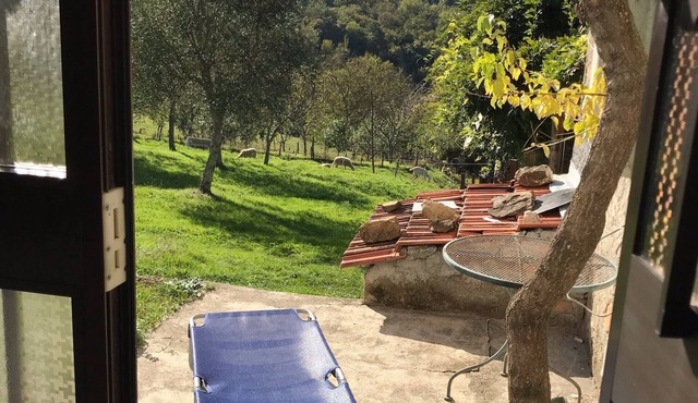 Holiday chalet with pergola and garden