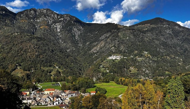 In a forest reserve in the Swiss mountains and near Lake Locarno