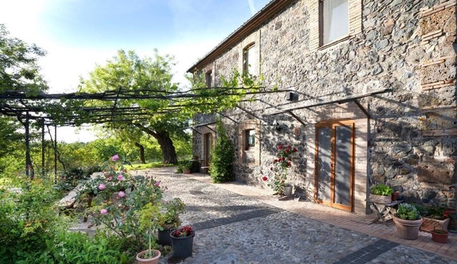 LIME TREE FLAT in Castel Giorgio
