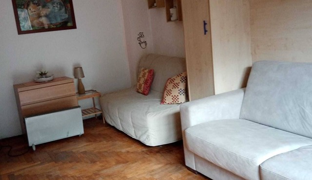 Mountain view studio apartment