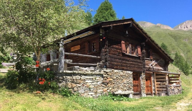 Murmolta