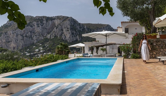 Panoramic and central villa.