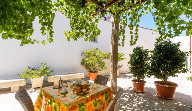 Pet-Friendly Studio Apartment Domus Cristina - Tredomus with Shared Garden