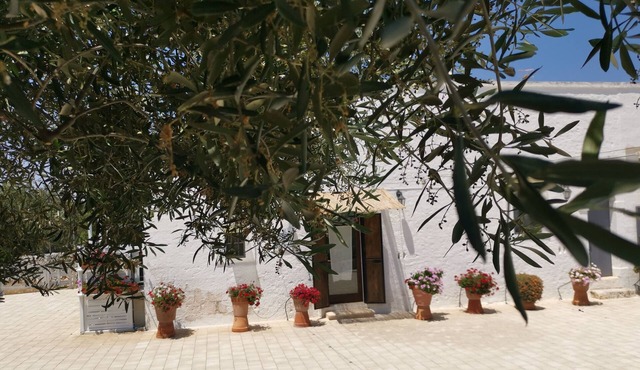 Profumo di terra