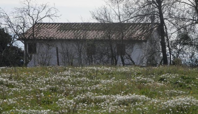 Roman Countryside! House surrounded by nature