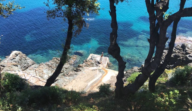SEPTEMBER'S LAST SECOND DEAL IN AN ELBA'S SEA VIEW ASTONISH VILLA