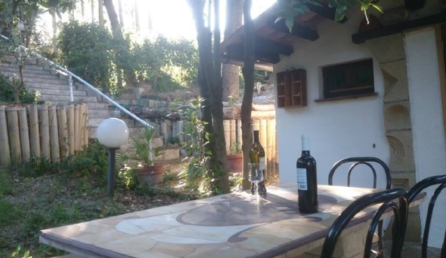 Studio BUBO - Pool - Views - Art