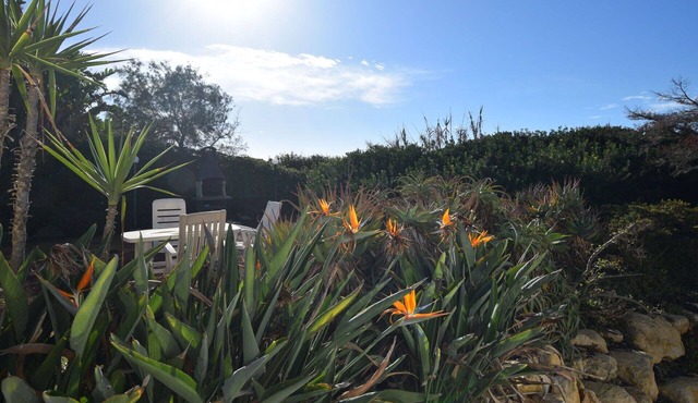Stunning villa for 7 guests with A/C, WIFI, TV, patio, pets allowed and panoramic view