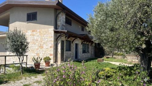 Suite del Colonnello B&b