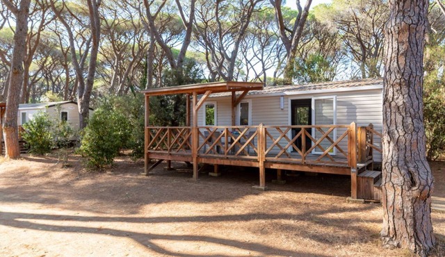 Superior Lodge - Three Bedroom Chalet, Sleeps 6