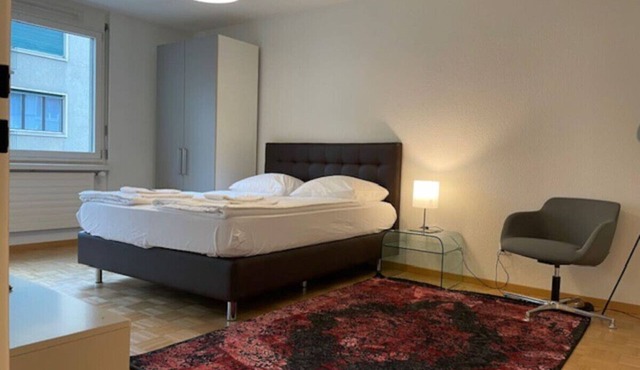 Terrific studio in the city centre (Art 9)
