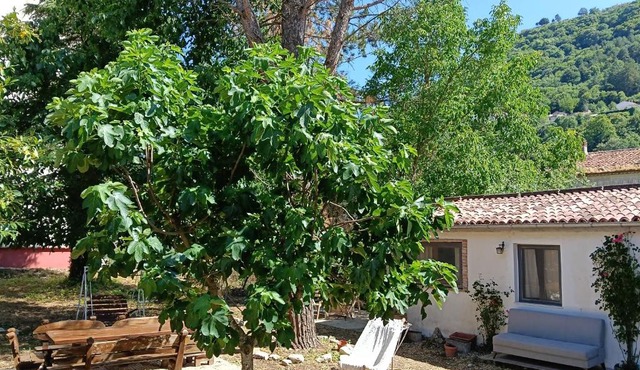 The Garden House