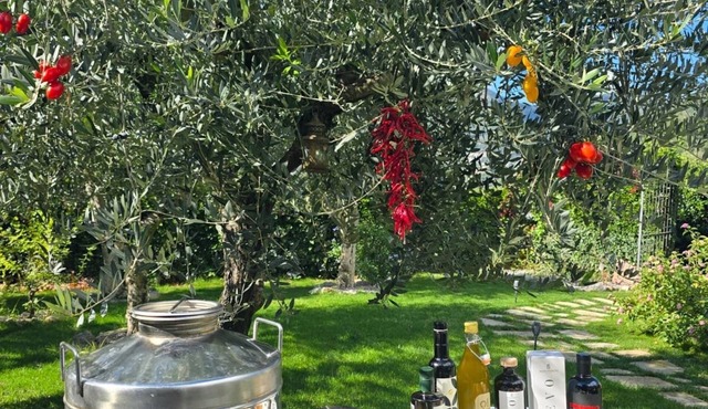 Tramonti Divini Amalfi Country House