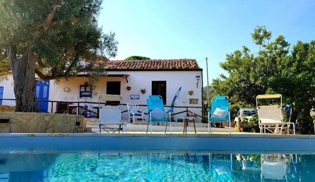 Unique experience in nature among the olive trees and the view of the Aeolian Islands