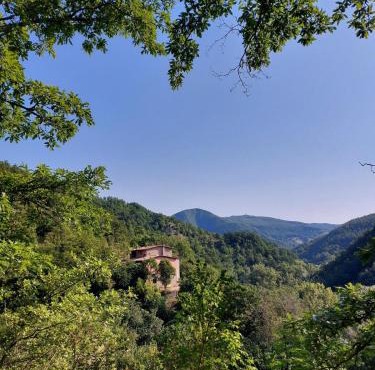 Vegan bed and breakfast Colle della luna