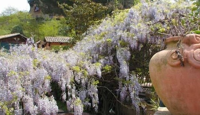Villa Clementine