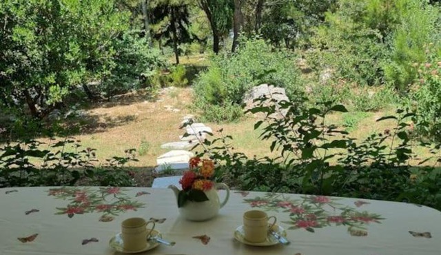 Villa Petra