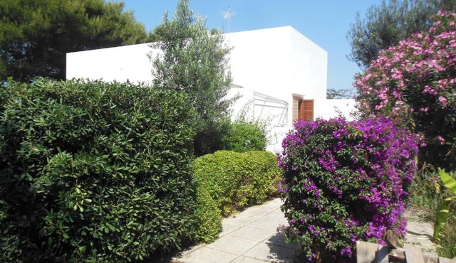 Villa Punta Lunga