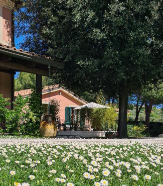 Villa Rosa Augusta