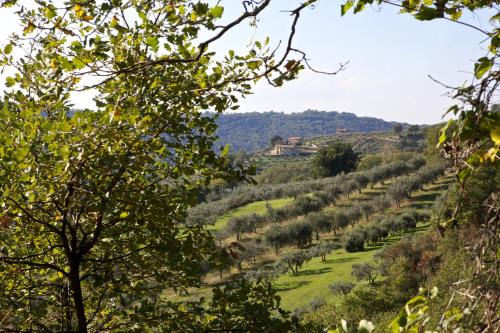 Villa Tilla