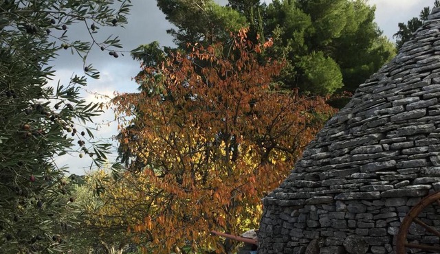 Villa Valeria B&B