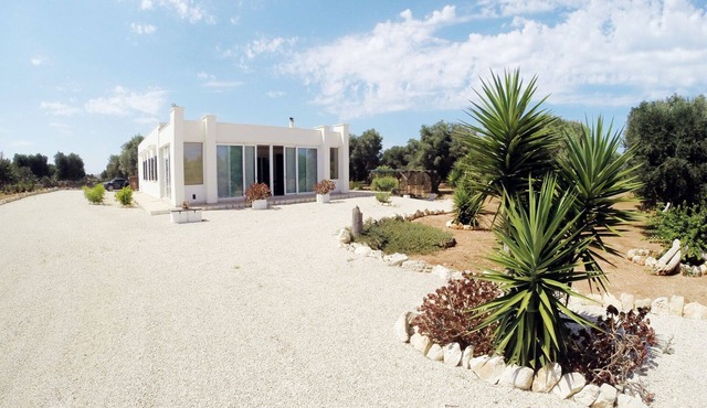 Villa with Pool surrounded by the high Salento