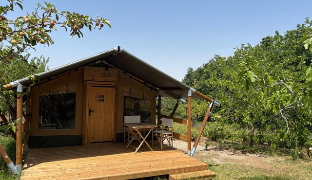 Vulture Glamping